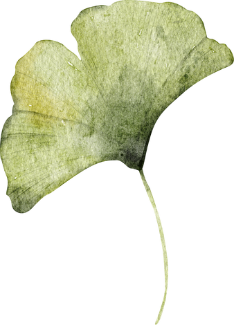 Watercolor Ginkgo Leaf